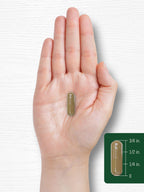 Carlyle Dandelion Root Extract | 300 Capsules | Herb Supplement | Taraxacum Officinale | Non-GMO and Gluten Free