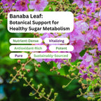 Paradise Herbs, Banaba Leaf, 12:1 Concentrated Extract, 250 mg, Vegan, Gluten-Free, Non-GMO, 180 Capsules