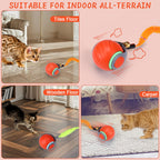 BABORUI 2Pack Interactive Cat Toy Ball - Automatic Interactive Cat Toys for Indoor Cats with 3 Tails, 2 Speeds Rechargeable Enrichment for Small/Medium/Large to Keep Them Busy