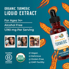 MaryRuth Organics Organic Turmeric Liquid Extract | Sugar Free | USDA Organic | Organic Turmeric Supplement | Non-GMO | Gluten Free | Vegan | Alcohol-Free Tincture | 1 Fl Oz