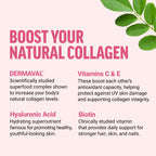 FORCE FACTOR Collagen Boosting Superfoods, Vegan Collagen Booster for Women, With Biotin, Hyaluronic Acid, and Vitamin C, For Hair, Skin, Nails, & Joint Support, Tropical Fruit, 120 Soft Chews, 2-Pack