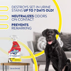 Resolve Pet Specialist Urine Destroyer Carpet Cleaner Spray – Urine Eliminator for Pet Stains & Odors Up to 7 Days Old, 22oz