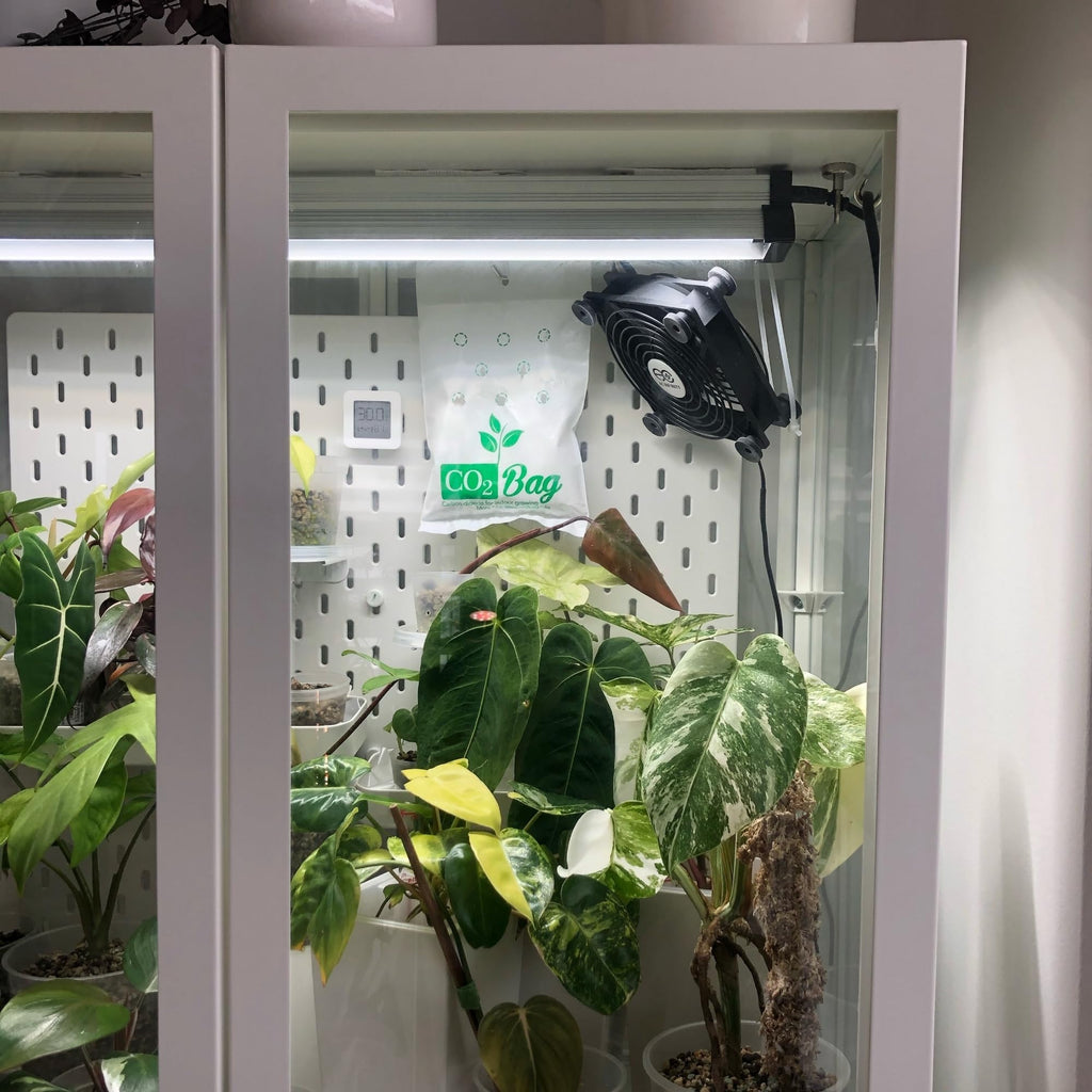 CO2BAG® XL - High-Capacity Natural CO2 Generator for Large Grow Rooms & Greenhouses | Maximum Growth & Pro-Grade Yields | Extra Large Organic Hydroponic Supplement | Maintenance-Free (XL 1-Pack)