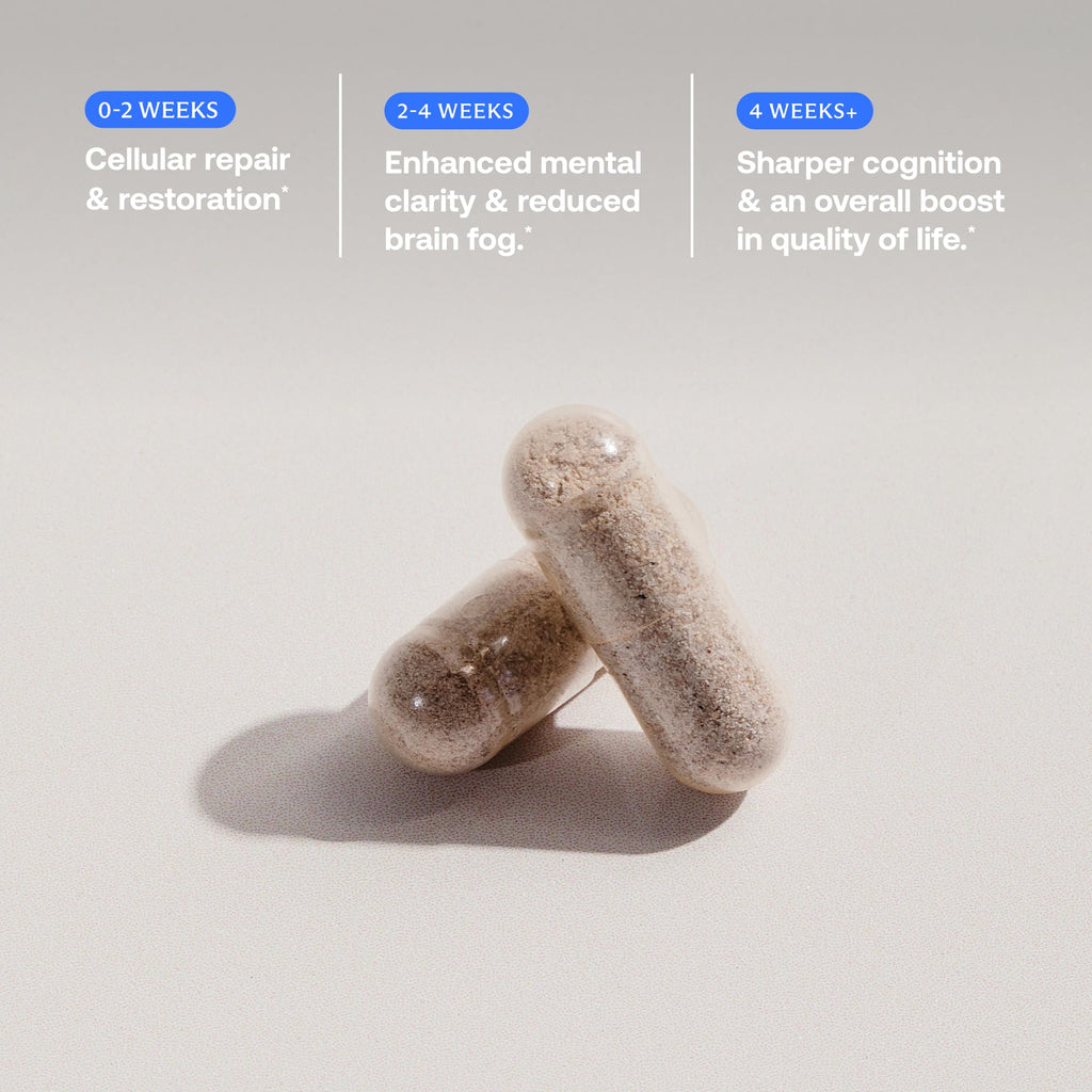 BodyBio Calm - Natural Stress Relief Blend with Rhodiola, Glycine & Phosphatidylserine - Supports Relaxation, Mental Focus & Balanced Cortisol - Non - Drowsy Formula 60 Capsules