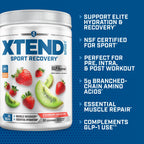 Xtend Sport BCAA Powder Strawberry Kiwi Splash - Electrolyte Powder for Recovery & Hydration with Amino Acids - 30 Servings