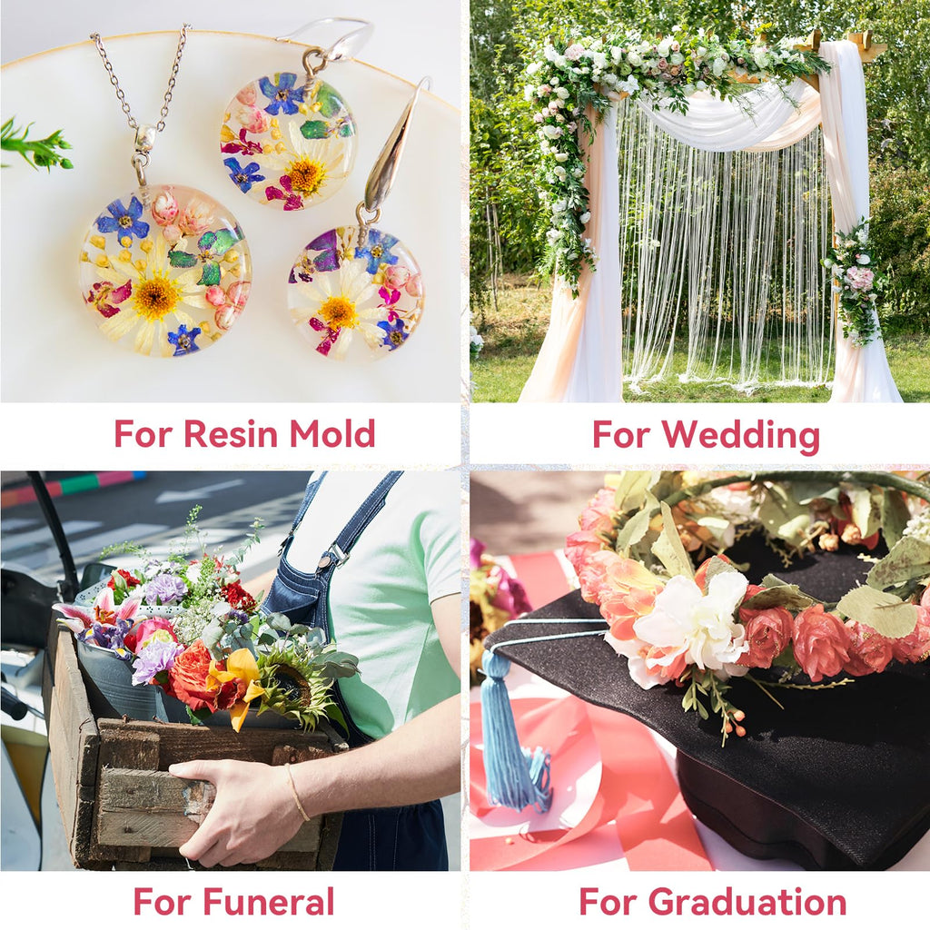 Silica Gel Flower Drying Crystals 5LBS, Reusable Color Indicating Flower Drying Silica with Airtight Container and Brush, DIY Wedding Bouquet Flower Preservation Kit, Fine Bead Size<1mm