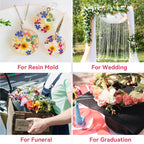 Silica Gel Flower Drying Crystals 5LBS, Reusable Color Indicating Flower Drying Silica with Airtight Container and Brush, DIY Wedding Bouquet Flower Preservation Kit, Fine Bead Size<1mm