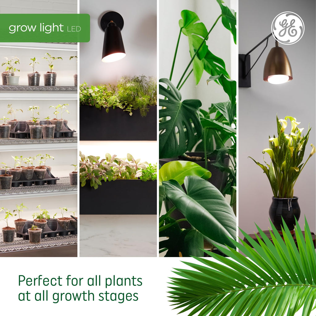 GE Grow LED Plant Light Bulb, Balanced Spectrum, A19, 2 Pack