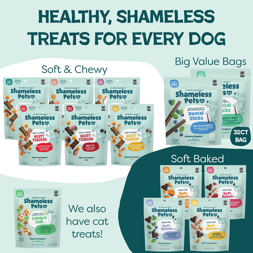 Shameless Pets Blueberry & Mint Dental Chews for Dogs, 32 Chews