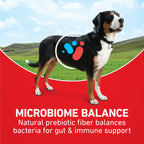 Purina ONE Chicken & Rice Formula Dry Dog Food, 8 lb Bag