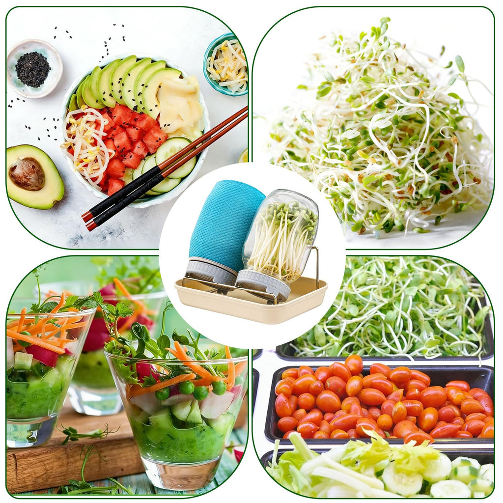 ZJ Whoest 32OZ Sprouting Kit, 2 Sprouting Jar Kits, Wide Mouth Mason Jars with Sprout Lids.Sprouts Growing Kit, Seed Sprouter Set for Growing Broccoli, Bean, Alfalfa