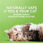 World's Best Cat Litter, Comfort Care, Unscented, Odor Control, 15 lb Bag