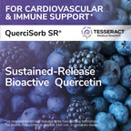 Tesseract Medical Research QuerciSorb SR Quercetin Supplement, Sustained Release, Supports Immune Function and Overall Health, Hypoallergenic. 400 mg, 90 Day Supply