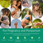 Needed. Prenatal Choline+ Liquid Capsules for Cognitive Development - Choline Supplements For Pregnancy - Aids Baby Brain Development & Supports Healthy Pregnancy - Third Party Tested - 30 Liquid Caps