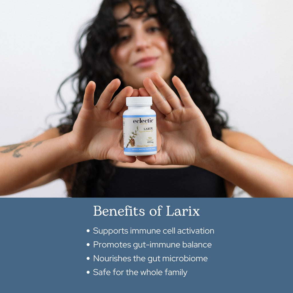 Eclectic Herb - Larix Capsules | Natural Immune, Respiratory + Ear Support | Larch Laricina | Immunity & Gut Flora Support | Vegan, Non-GMO, Gluten Free (100 CT | 400 mg)