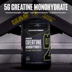 NutraBio Pure Micronized Creatine Monohydrate Powder Supplement, Unflavored, (500 g) - Supports Bulk Muscle Energy, Recovery, and Strength - HPLC Tested Creatine Powder Supplement for Men and Women