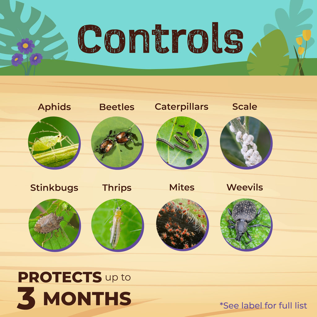 Bonide Captain Jack's Fruit Tree Spray, 16 oz Concentrate, Insect & Disease Control Spray for Organic Gardening
