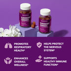 Sambucus Elderberry Gummies for Adults - Immune Support Supplement with Vitamin C and Zinc - Enhanced Formula for Daily Defense - 60 Count, 1 Month Supply, Berry Flavor - Convenient Wellness