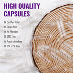 ATNreuro Size 0 Enteric Coated Empty Capsules – 100 Count Acid Resistant Gelatin Capsules – Delayed Release Empty Capsules for Probiotics, Herbal Powders – Non-GMO, Gluten Free