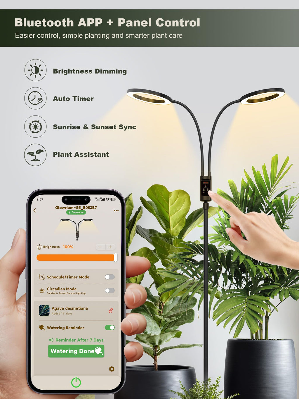 GLOWRIUM Smart Grow Lights for Indoor Plants,Plant Light with Bluetooth App