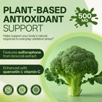 inGreens Liposomal Sulforaphane 500mg Supplement,4 Pack, 240 Capsules