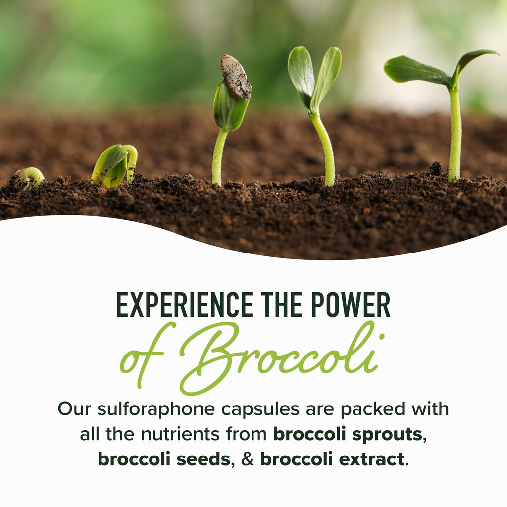 50MG Sulforaphane Supplement from Broccoli Sprouts | NRF2 Activation, Cellular Health & Immune Support | Glucoraphanin, Myrosinase & Antioxidants | 3rd Party Tested | 120 Broccoli Seed Microbeadlets