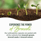 50MG Sulforaphane Supplement from Broccoli Sprouts | NRF2 Activation, Cellular Health & Immune Support | Glucoraphanin, Myrosinase & Antioxidants | 3rd Party Tested | 120 Broccoli Seed Microbeadlets