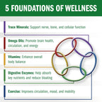 Bio-35 / 300ct Iron Gluten & Soy- Free, Daily Multivitamin for Men & Women Wellness – Bio35 High Potency Softgel with Trace Minerals, Multi Vitamins for Immune Support, Digestion, & Energy