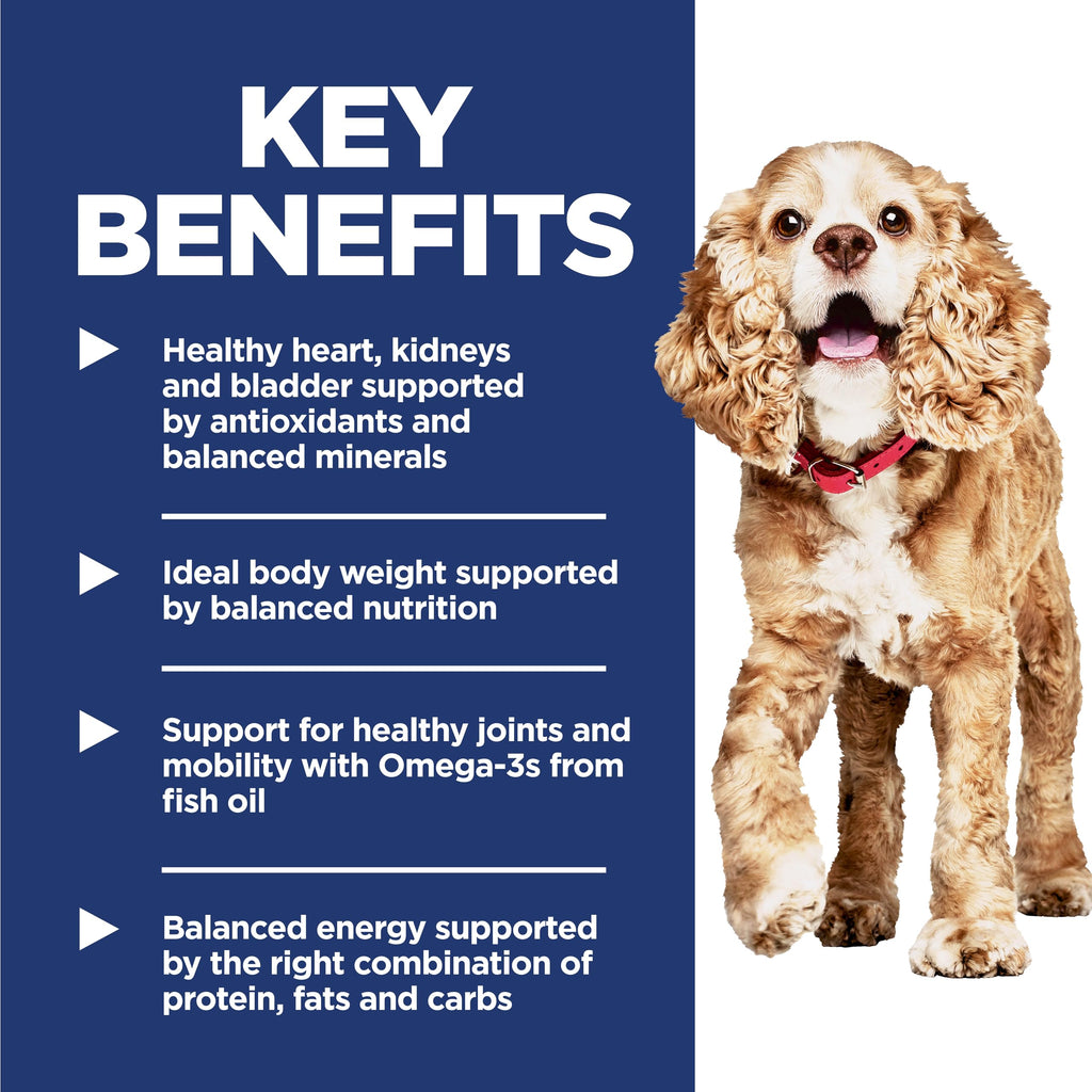 Hill's Science Diet Senior 11+ Small & Mini Dry Dog Food