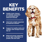 Hill's Science Diet Senior 11+ Small & Mini Dry Dog Food