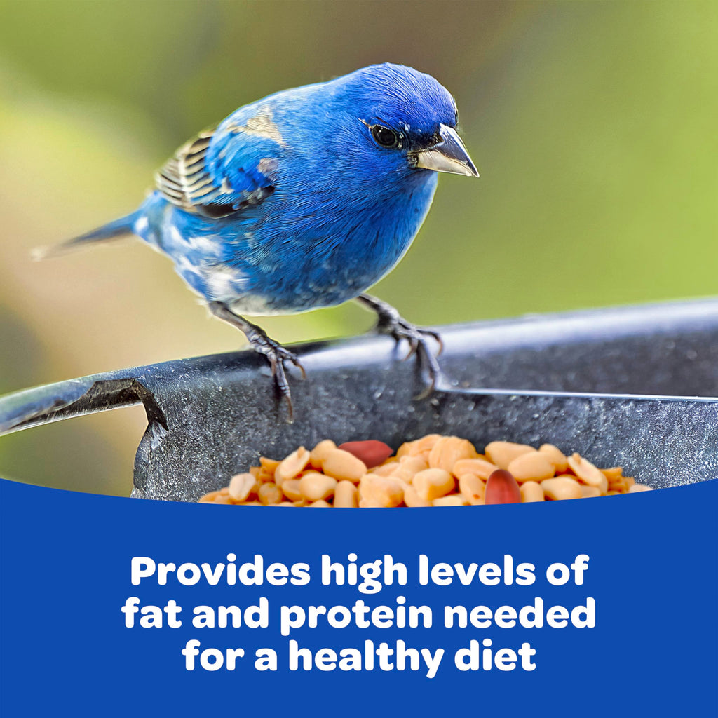 Kaytee Peanuts Wild Bird Food, High in Fat and Protein, 11 Pounds