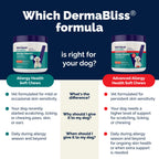 Vetnique DermaBliss Dog Allergy Chews for Seasonal Allergy Itch Relief, Skin & Gut Health with Probiotics and Omega 3 Blend - Advanced or Regular Strength (120ct, Regular Strength Chews)