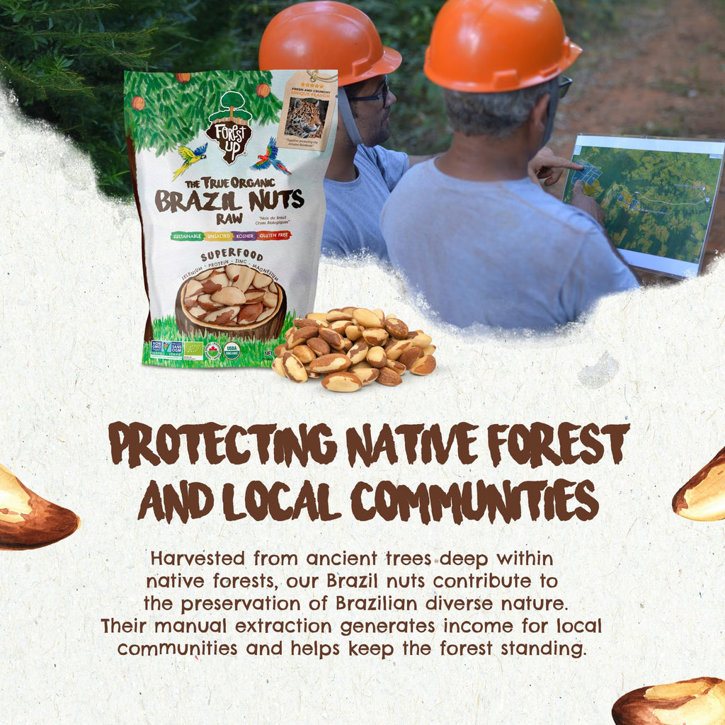 Forest Up The True Organic Brazil Nuts 15 oz Raw and Unsalted