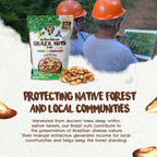 Forest Up The True Organic Brazil Nuts 15 oz Raw and Unsalted