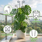 Monstera Plant Support - 32.6 Inch Tall Trellis with 2 Pack Plant Stakes for Your Large Climbing Monstera Deliciosa | Indoor Plant Climbing Frame for Potted Growth