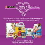 Purina Busy with Beggin Twisted Dog Treats, with Real Bacon, 10 ct Pouch