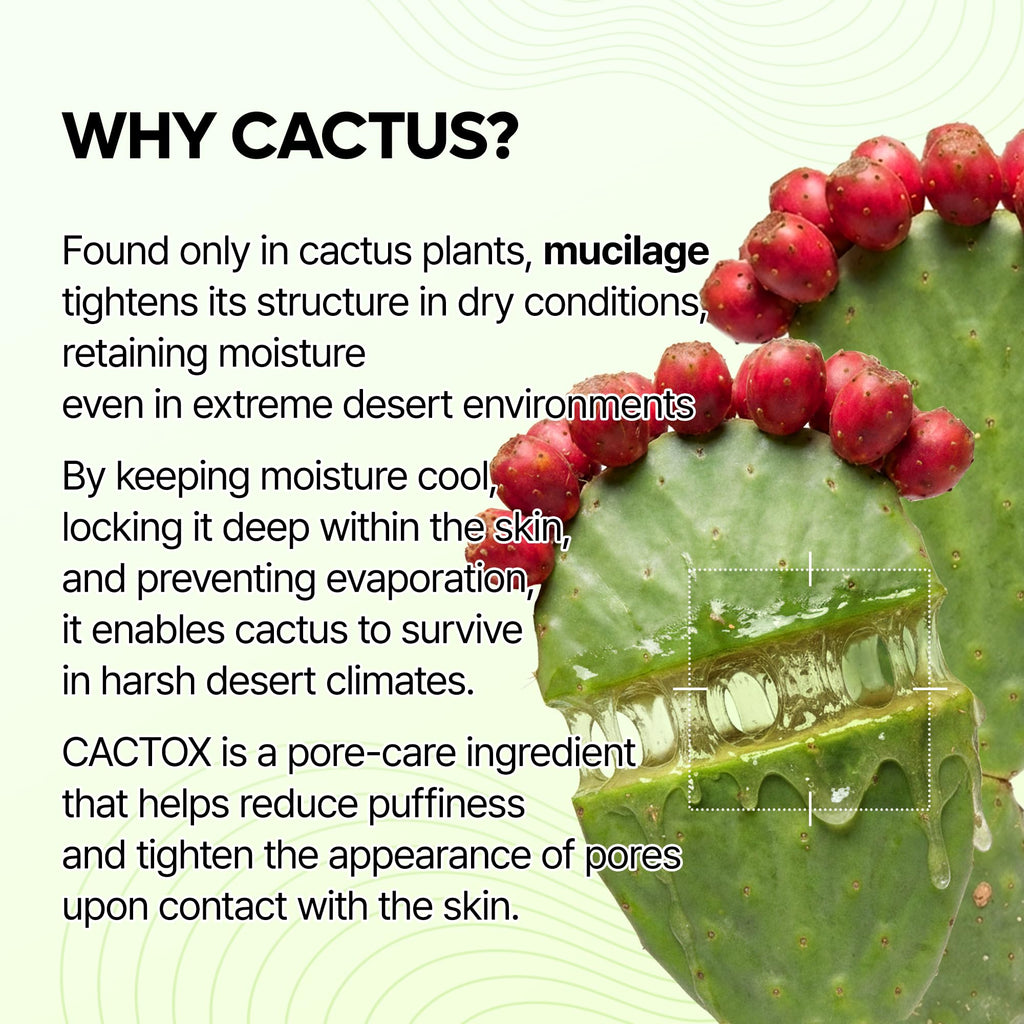 Dr.Melaxin Cactox Pore Relief Jelly Serum Mist, Instant Cooling Face Mist for Pore Tightening & De-Puffing, Hydrating Cactus Serum for Puffy Skin, 80ml (2.7 fl oz)