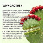 Dr.Melaxin Cactox Pore Relief Jelly Serum Mist, Instant Cooling Face Mist for Pore Tightening & De-Puffing, Hydrating Cactus Serum for Puffy Skin, 80ml (2.7 fl oz)