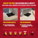 Catchmaster 16pk Mouse Glue Traps Indoor for Home, Sticky Mouse & Bug Traps