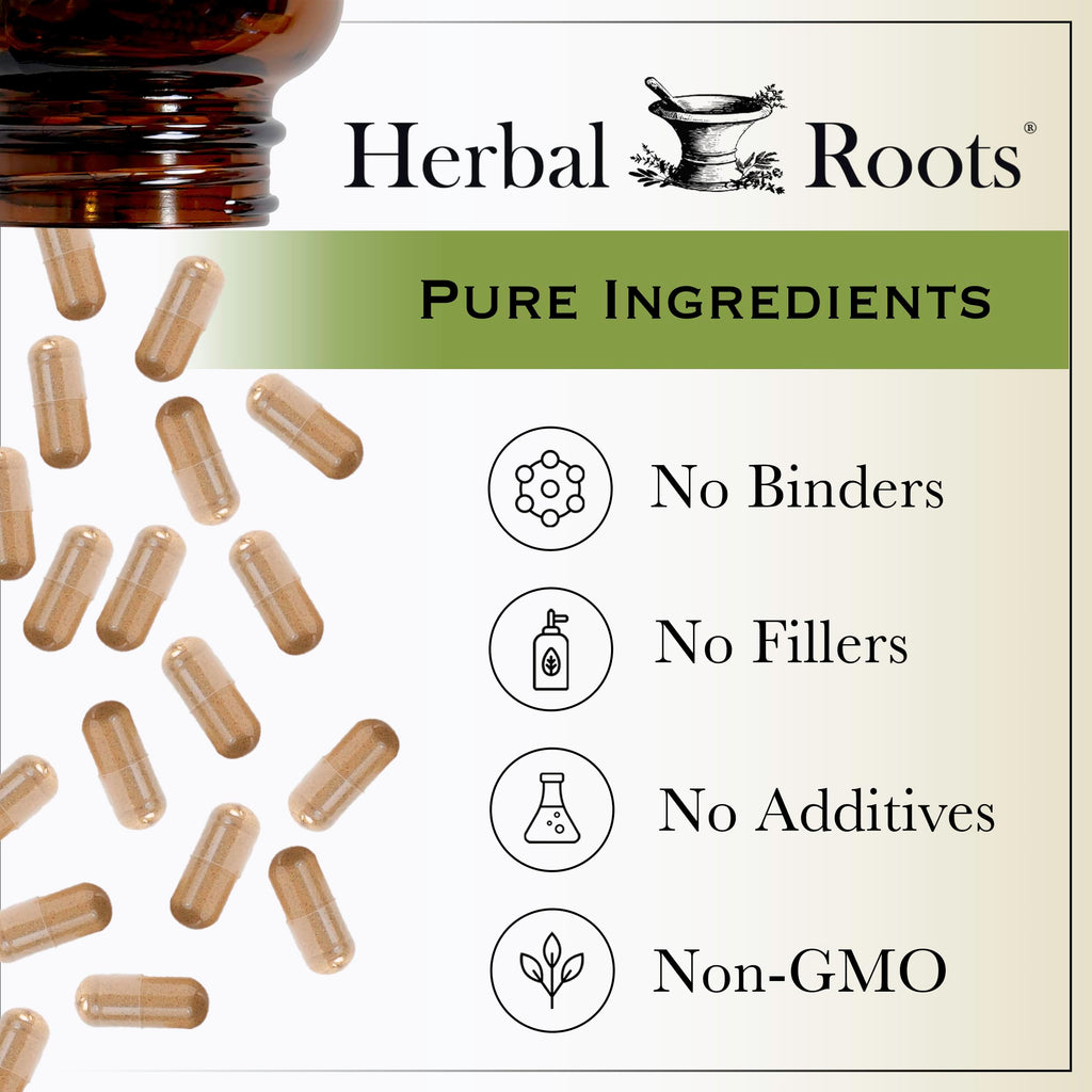 Herbal Roots Organic Black Elderberry Capsules | Max Strength | Made with Organic Sambucus | 60 Vegan Capsules (Pack of 2)