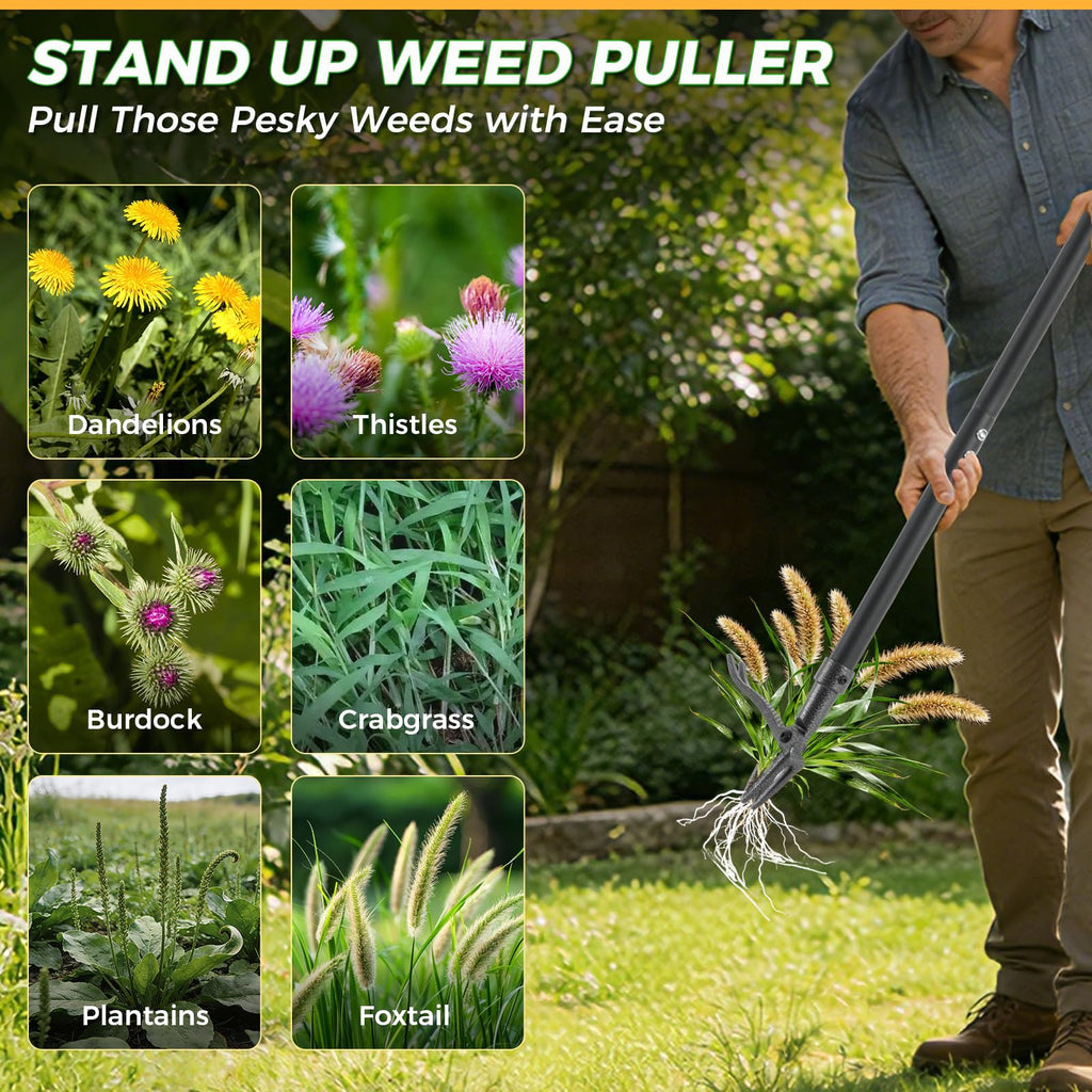 RexWeed Stand Up Weed Puller Tool, 46" Adjustable All-Metal Long Handle Weeder with 4-Claw Steel Head, Remove Weeds by Roots Without Bending or Kneeling, Heavy Duty Garden Tool Back & Knee Friendly