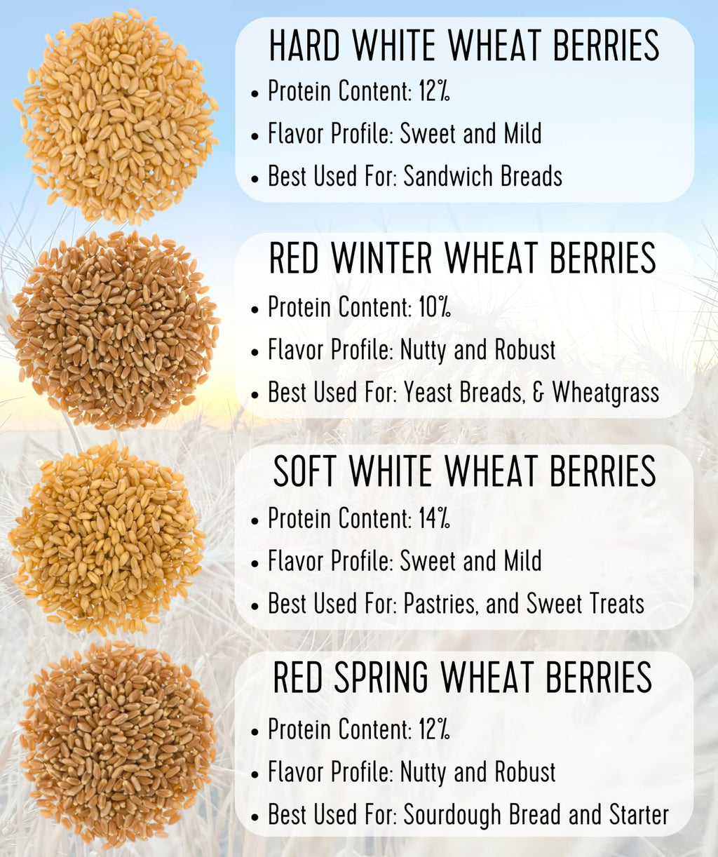 Certified Glyphosate Residue Free Hard Red Winter Wheat Berries | 1 LBS | Family Farmed in Washington State | Non-GMO Project Verified | 100% Non-Irradiated | Certified Kosher Parve | Field Traced