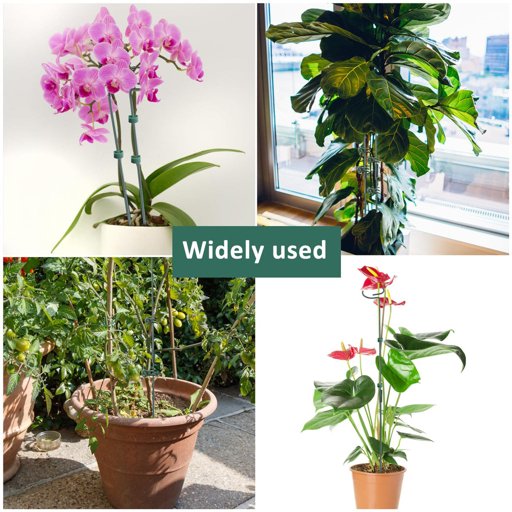 4 Set Metal Plant Sticks Support Tall 48 Inch Adjustable Plants Stem Support Rod Amaryllis Holder Stake Garden Flower Rings with 20PCS Clips 16.5' Plant Ties for Outdoor Indoor Plants