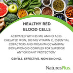 NaturesPlus Hema-Plex Iron - 60 Fast-Acting Softgels - 3 Pack - 85 mg Iron + Vitamin C & Bioflavonoids for Healthy Red Blood Cells - Gluten Free - 60 Total Servings