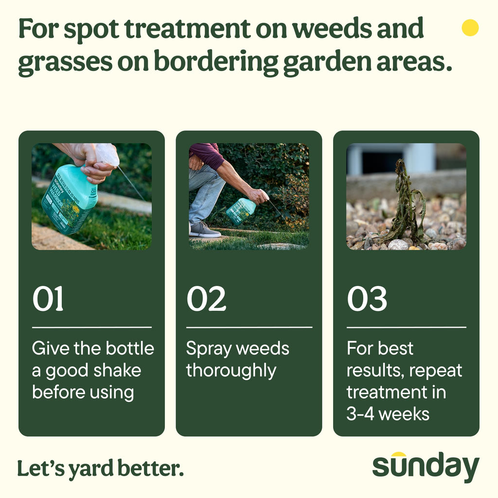Sunday Weed Warrior, 32oz, 2 Pack - Grass & Weed Killer - Organic, Ready-to-Use Weed Killer Spray - Herbicide Spot Treatment - Kills Weeds, Grass, Algae and Moss