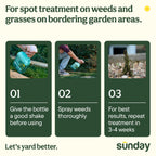 Sunday Weed Warrior, 32oz, 2 Pack - Grass & Weed Killer - Organic, Ready-to-Use Weed Killer Spray - Herbicide Spot Treatment - Kills Weeds, Grass, Algae and Moss