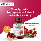 FineLand Pomegranate Extract 20:1, 40% Ellagic Acid Standardized, Antioxidant Supplement for Cellular & DNA Health, 120 Veg Capsules, 4-Month Supply
