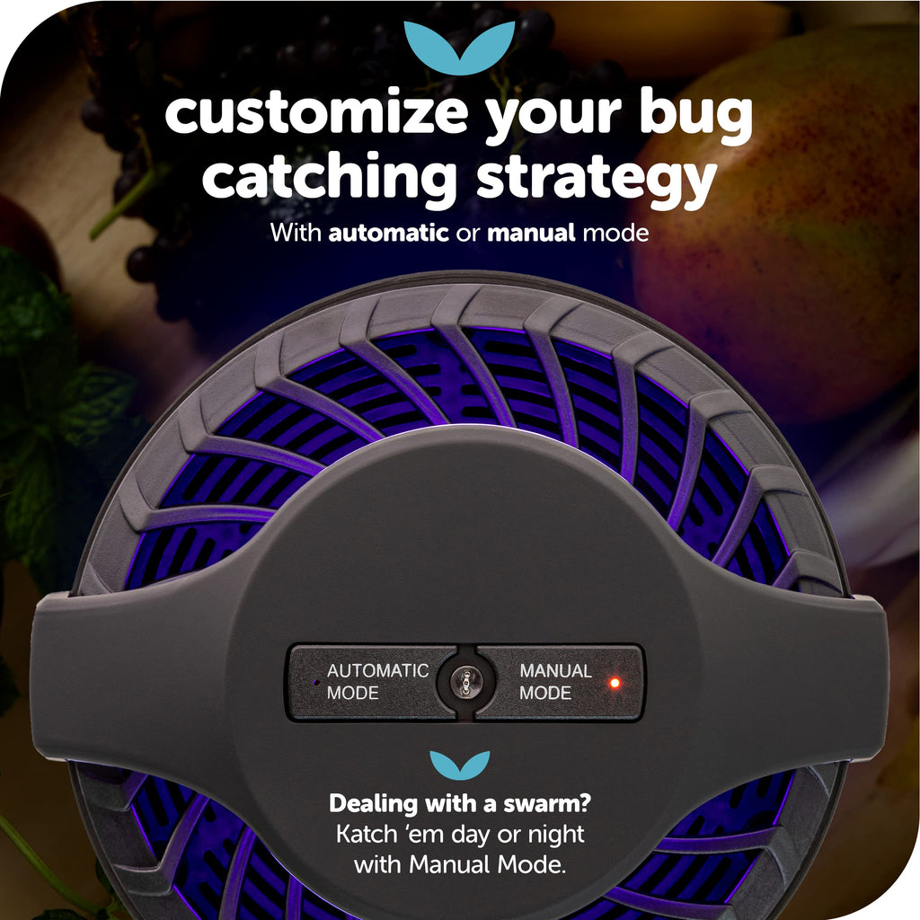 Katchy Midnight Indoor Insect Trap – Auto/Manual Mode – Blue Light & Fan Suction Catcher for Mosquito, Fruit Fly, Gnat, Fungus Gnat & Moth – Ideal for Kitchen & Indoor Plants (Black)