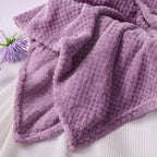 LE CADEAU Christmas Birthday Get Well Soon Gifts Basket for Women w/Blanket