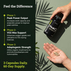 NutraBio PeakO2 Workout Supplement, 180 Capsules - Mushroom Blend Supplement to Help Enhance Athletic Performance and Overall Health, 60 Servings